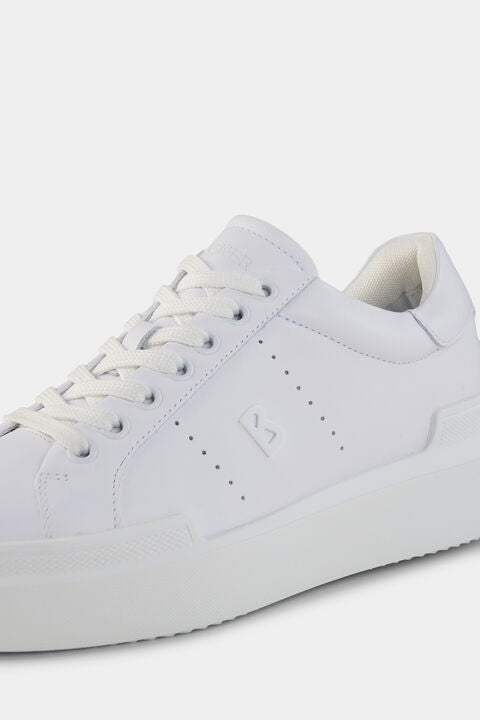 Sneaker Hollywood In White