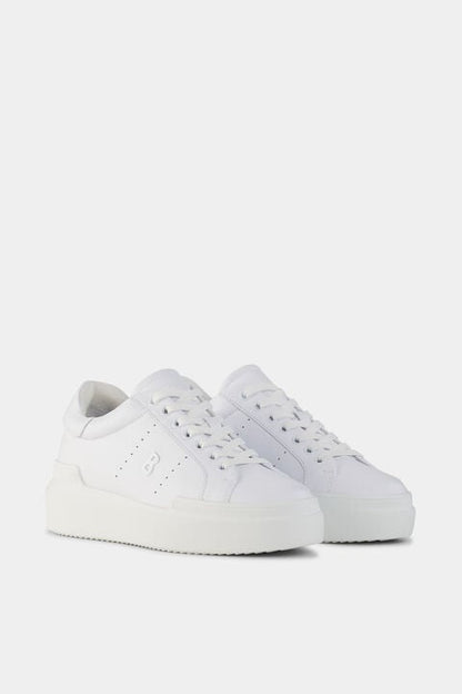 Sneaker Hollywood In White